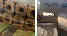 Starting a Biomass Briquette Business in Italy