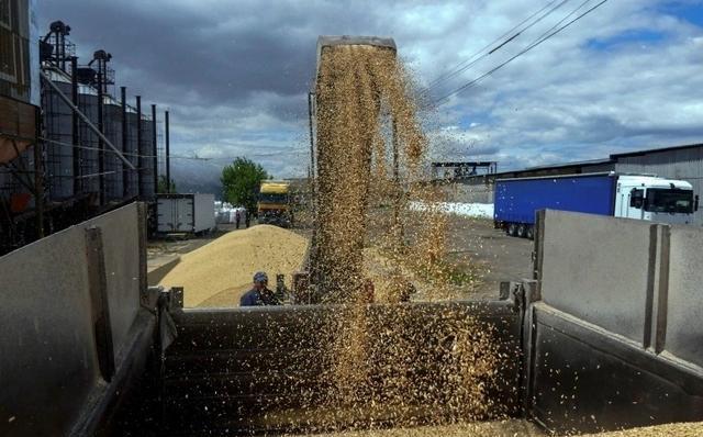 300kg/h Biomass Briquette Plant Powers Up in Russia