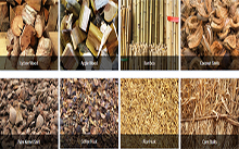 Detailed explanation of raw materials for making barbecue(BBQ) charcoal